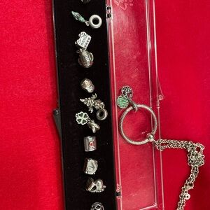 Pandora Silver Charms with Snape necklace. 10* charms plus necklace with charm.